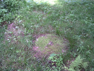 the cover of the well, in the front yard