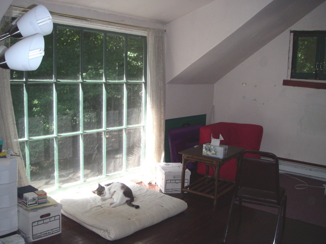 The loft, with picture window and Shark